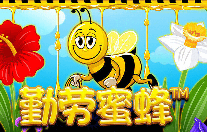 澳门凤凰精准大全正版网站